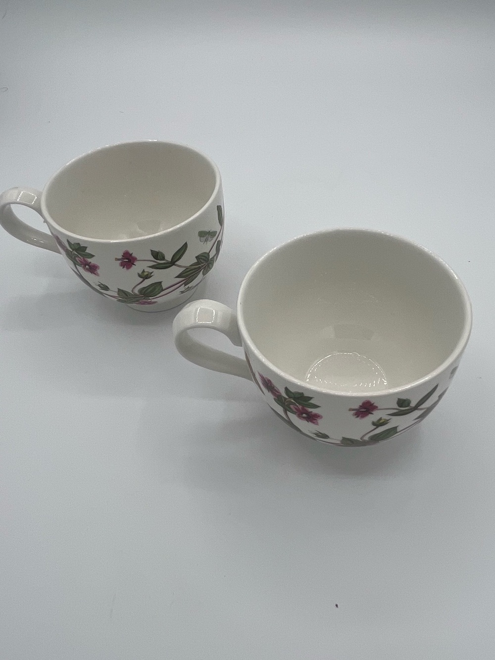 Portmeirion Botanic Garden Teacup Set of 2